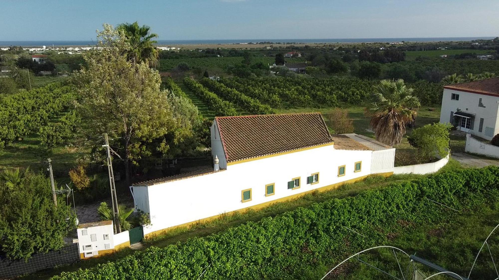 Quinta Rosa Branca Ξενοδοχείο Ταβίρα Εξωτερικό φωτογραφία